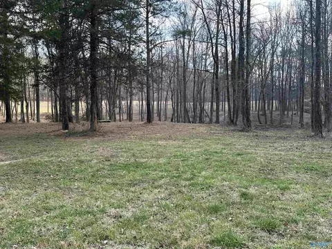 2 5 Acres Ghost Hill Rd, Trinity, AL 35603 photo 6