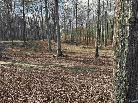 2 5 Acres Ghost Hill Rd, Trinity, AL 35603 photo 4