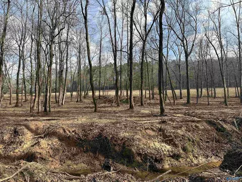 2 5 Acres Ghost Hill Rd, Trinity, AL 35603 photo 11