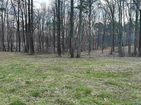 2 5 Acres Ghost Hill Rd, Trinity, AL 35603 photo 7