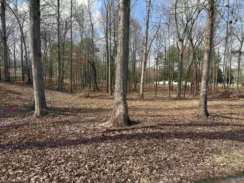 2 5 Acres Ghost Hill Rd, Trinity, AL 35603 photo 2