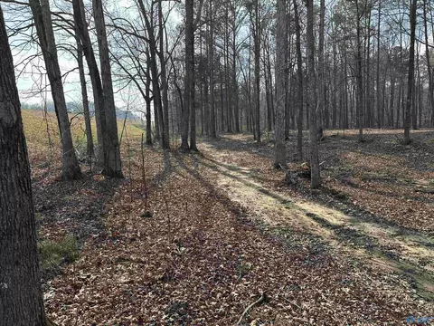 2 5 Acres Ghost Hill Rd, Trinity, AL 35603 photo 3