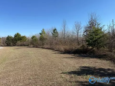 5 Ac Castlehill Dr, Bryant, AL 35958