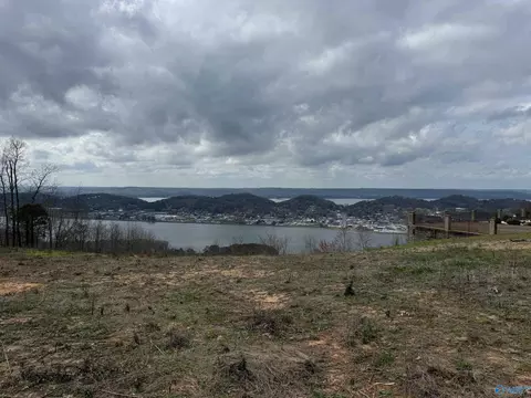 1 Fairfax Dr, Guntersville, AL 35976