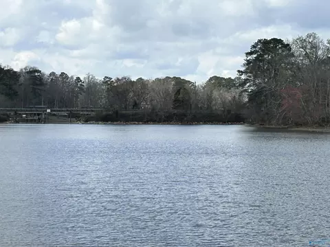 View/Area - 335 Lakeside Dr, Centre, AL 35960 photo 5 of 6