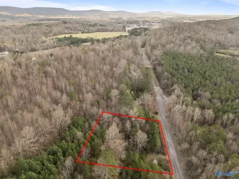 1 Acre George Adams Rd, Scottsboro, AL 35758