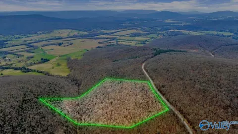 855 Lewis Mountain Rd, New Market, AL 35761
