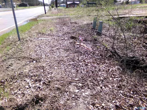 920 E Main St, Centre, AL 35960 photo 7