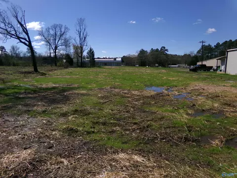 920 E Main St, Centre, AL 35960 photo 2