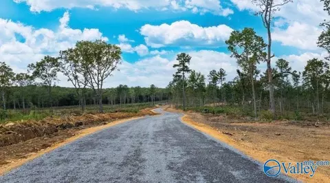 Tract 12 County Road 9114, Mentone, AL 35984