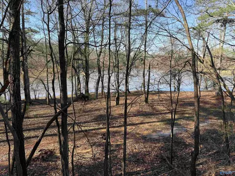 1 County Road 92, Cedar Bluff, AL 35959