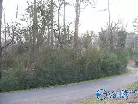 39 Tracy St, Guntersville, AL 35976