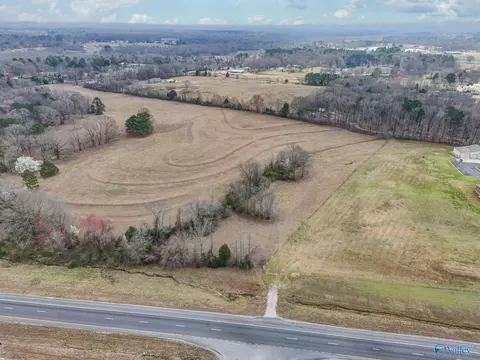 8 Acres Gordon Terry Pkwy, Trinity, AL 35673