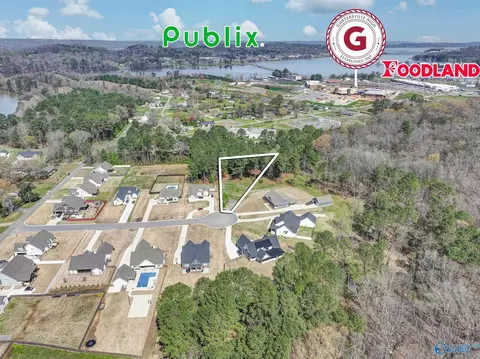 183 Spring Creek Cv, Guntersville, AL 35976