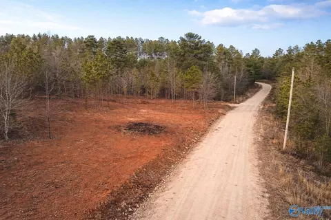 Tract 1 County Road 176, Piedmont, AL 36272