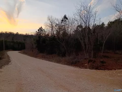 Tract 3 County Road 176, Piedmont, AL 36272