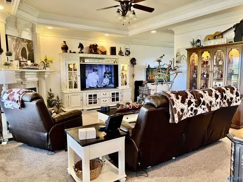 Living - 94 Owensby Way, Trinity, AL 35673 photo 3 of 5