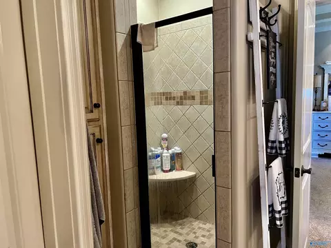Bath - 94 Owensby Way, Trinity, AL 35673 photo 6 of 8