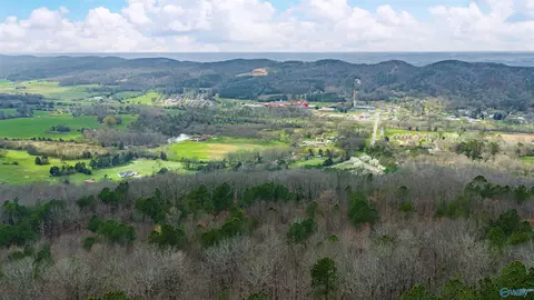 37 2 Acres Highway 68, Collinsville, AL 35961