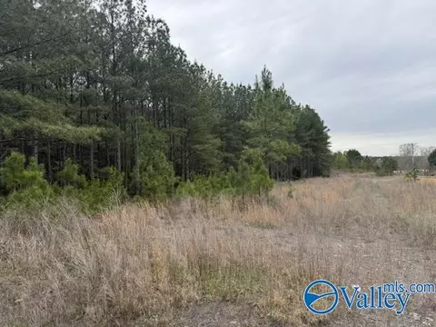 90 County Road 153, Fort Payne, AL 35967