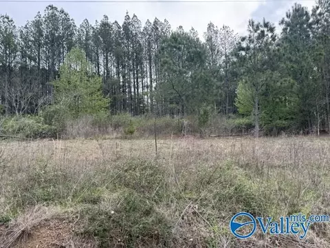 19 6 County Road 153, Fort Payne, AL 35967