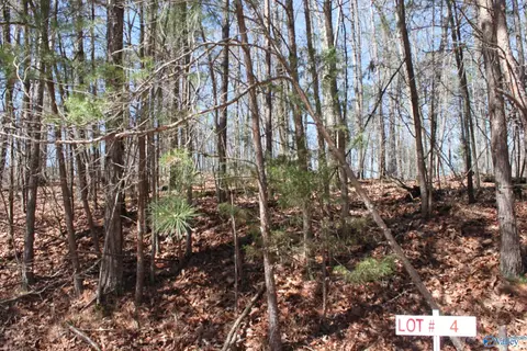 lot4 Hickory Ln, Fort Payne, AL 35989