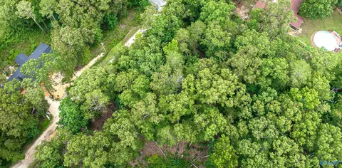 lot3 Hickory Ln, Valley Head, AL 35989