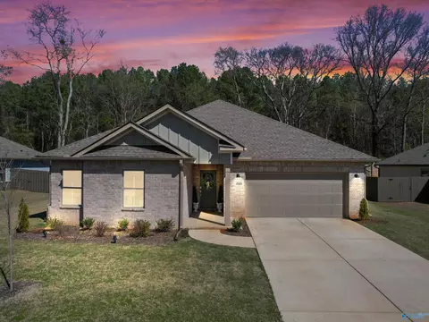 21613 Ginn Point Rd, Athens, AL 35613