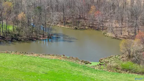 85 Acres Woodland Dr, Ider, AL 35981