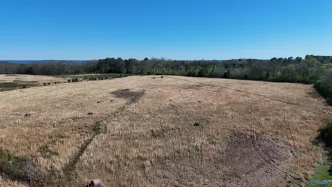 43 Acres Columbus City Rd, Grant, AL 35747