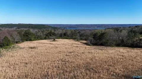 25 Acres Lemaster Rd, Grant, AL 35747