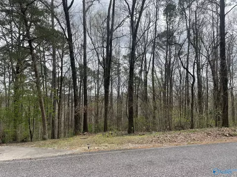 3706 Chula Vista Dr, Decatur, AL 35603