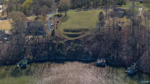 855 Turtle Cove Rd, Killen, AL 35645 photo 13