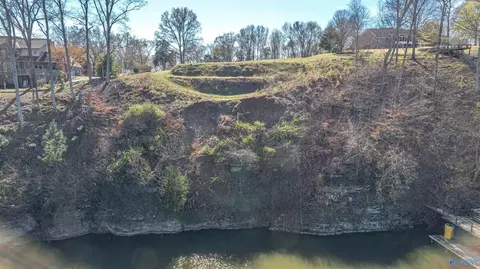 855 Turtle Cove Rd, Killen, AL 35645 photo 14