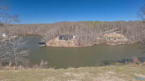 855 Turtle Cove Rd, Killen, AL 35645 photo 3