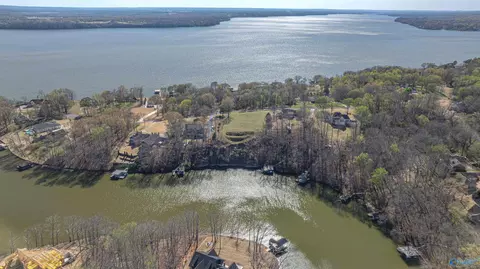 855 Turtle Cove Rd, Killen, AL 35645 photo 10
