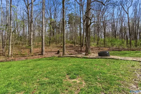 Exterior - 123 Chambers Rd, Arab, AL 35016 photo 14 of 14