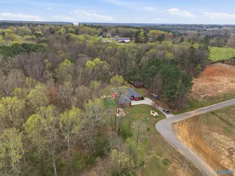 View/Area - 123 Chambers Rd, Arab, AL 35016 photo 5 of 9