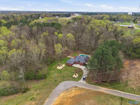 View/Area - 123 Chambers Rd, Arab, AL 35016 photo 4 of 9