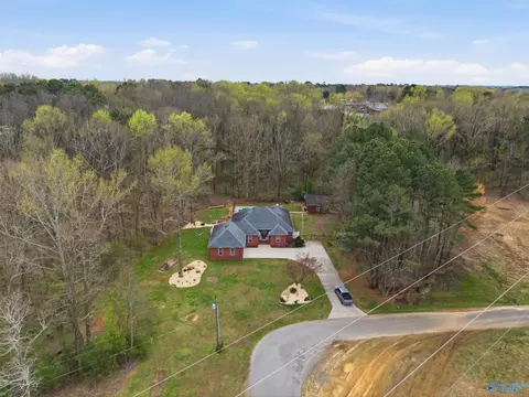 View/Area - 123 Chambers Rd, Arab, AL 35016 photo 1 of 9