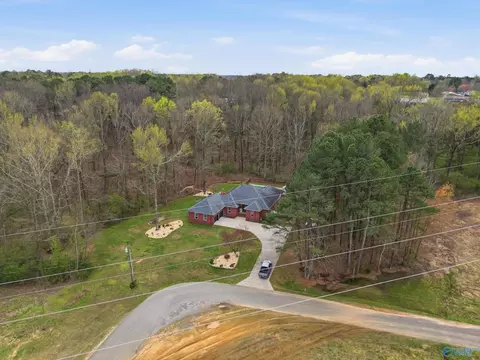 View/Area - 123 Chambers Rd, Arab, AL 35016 photo 3 of 9