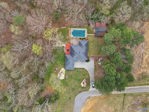 View/Area - 123 Chambers Rd, Arab, AL 35016 photo 9 of 9