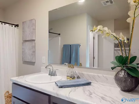 Bath - 1000 John Ave, Trinity, AL 35673 photo 1 of 3