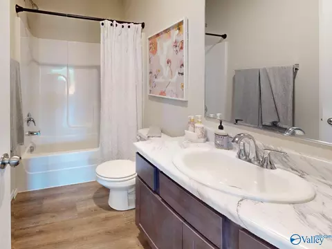 Bath - 1000 John Ave, Trinity, AL 35673 photo 3 of 3