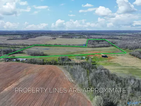 60 Acres County Road 460, Mount Hope, AL 35651