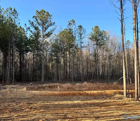 149 County Road 686, Cedar Bluff, AL 35959 photo 5