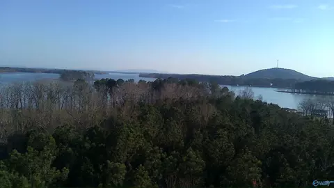 149 County Road 686, Cedar Bluff, AL 35959 photo 6