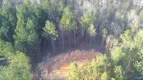 149 County Road 686, Cedar Bluff, AL 35959