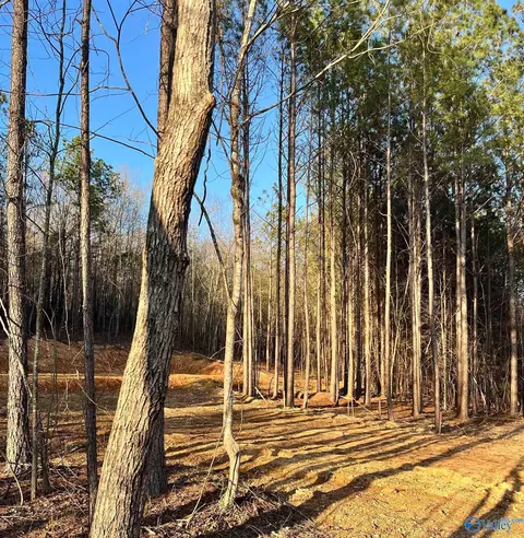 149 County Road 686, Cedar Bluff, AL 35959 photo 3