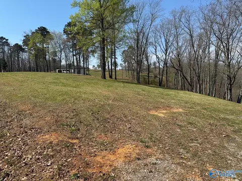 302 Mccorkle Mountain Rd, Scottsboro, AL 35769
